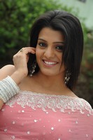 Tashu Kaushik Saree Photos